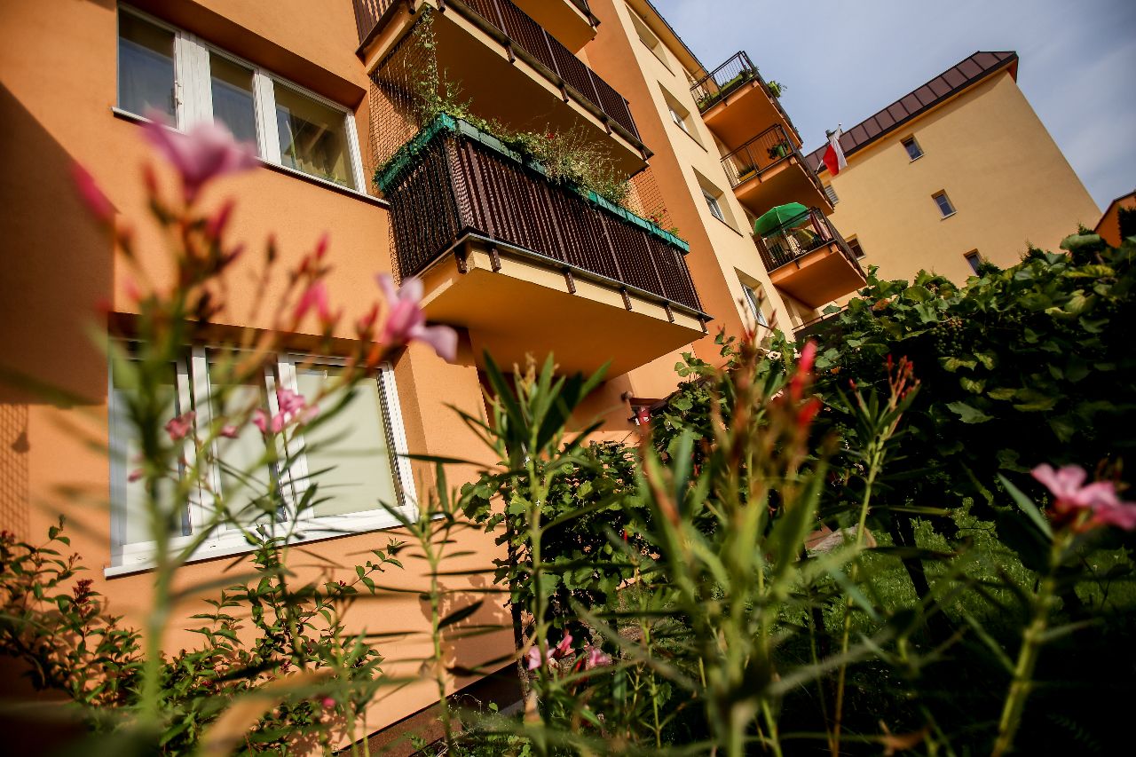 Puls Dnia: Dopłaty do czynszu w Mieszkaniu+. E-podatki do kosza?